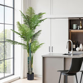 Modern kitchen with a large green plant near a window