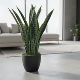 Artificial Snake Plant – Realistic UV-Resistant Sansevieria Faux Plant