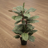 Artificial Wide Leaf Cordyline Plant 90cm – Realistic Faux Artifical Plants for Home or Office