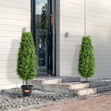 Two potted trees on a stone pathway in front of a modern building.