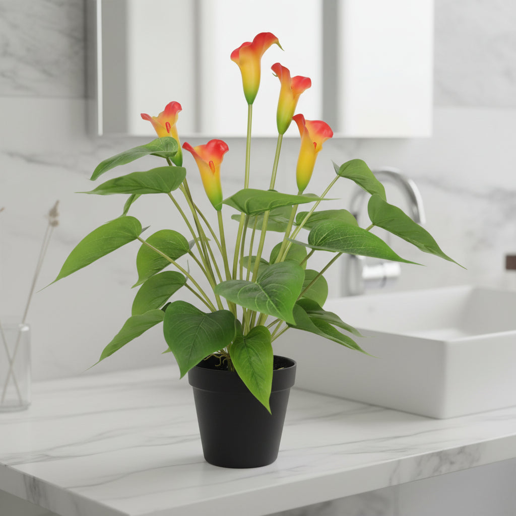 Potted plant with red and yellow flowers on a white background