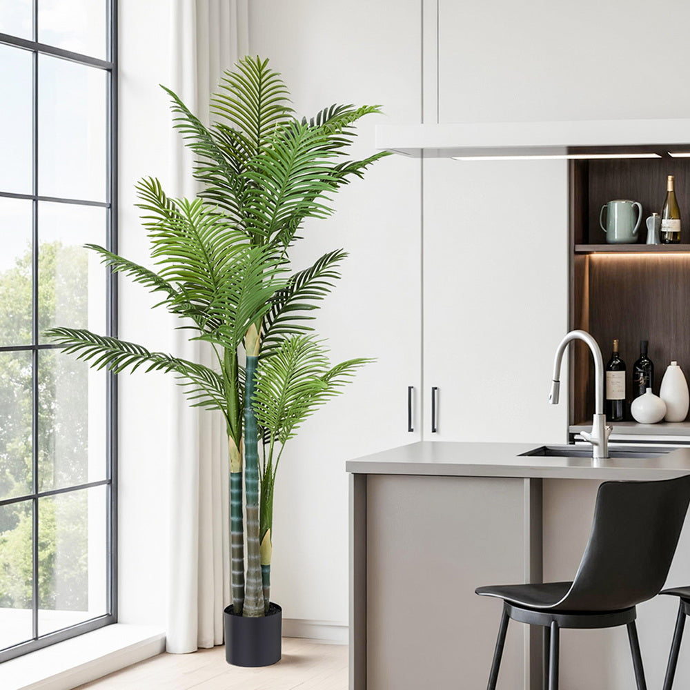 Modern kitchen with a large green plant near a window