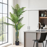 Modern kitchen with a large green plant near a window