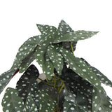 Artificial Begonia Plant – 30cm Decorative Indoor Artificial Plants