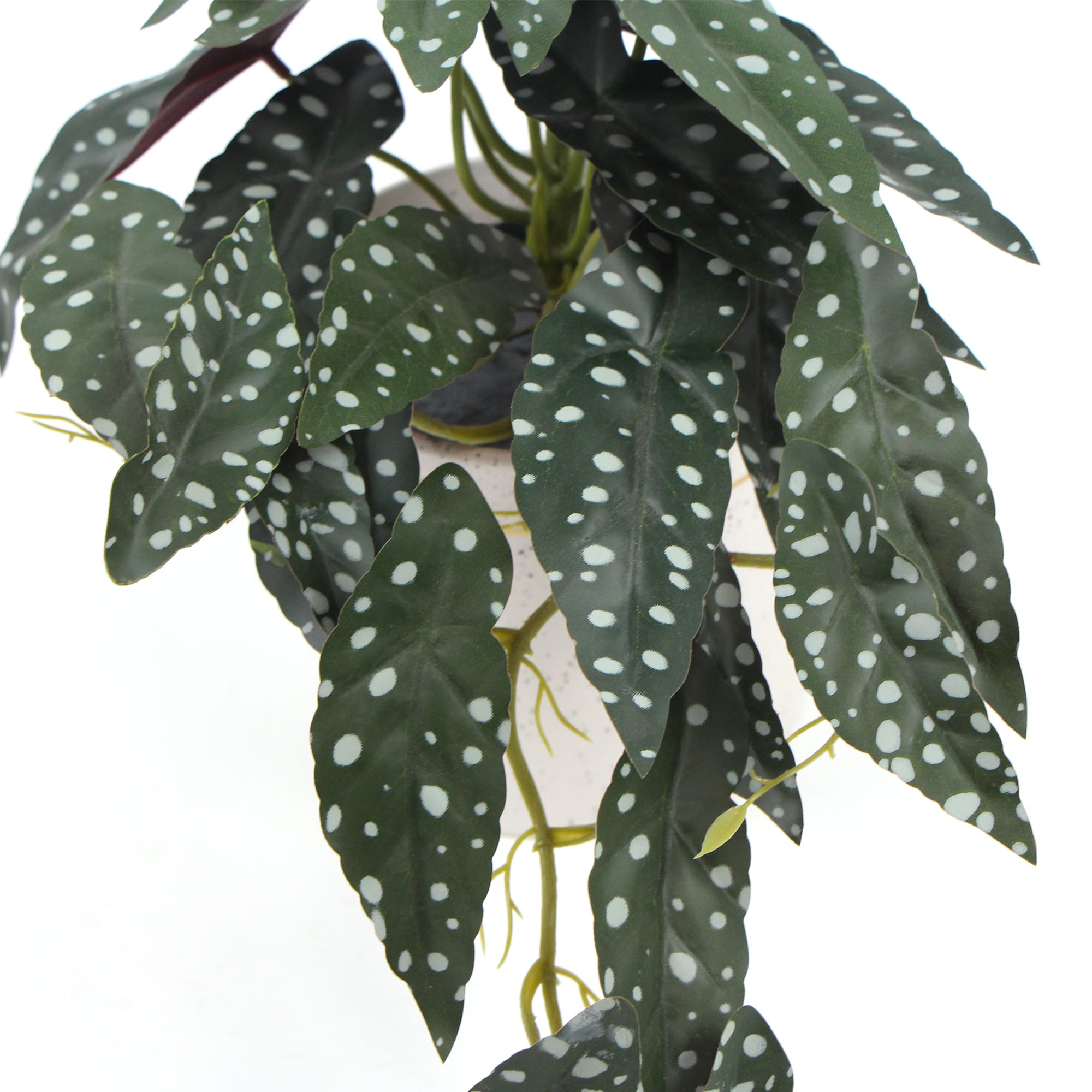 Artificial Begonia Plant – 30cm Decorative Indoor Artificial Plants