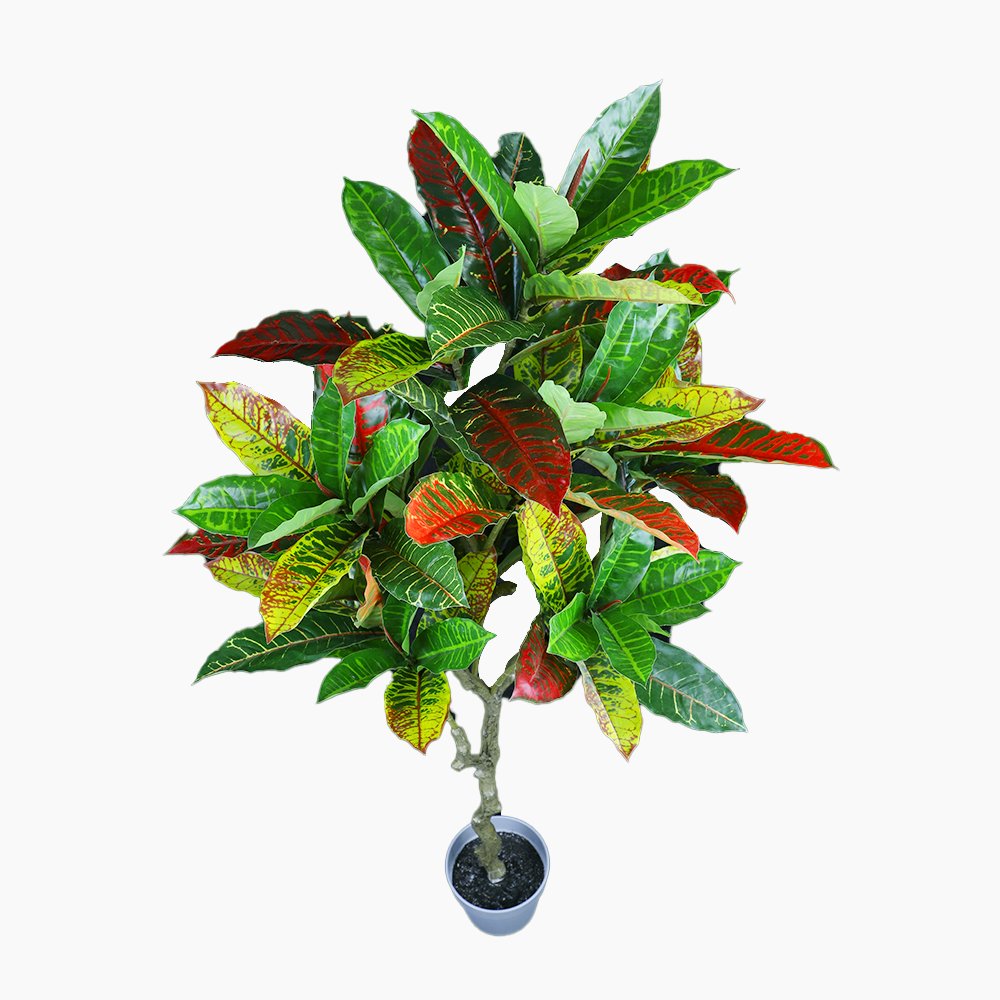 125cm Faux Artificial Codiaeum Plant – Elegant Indoor Decorative Greenery Artificial Plants