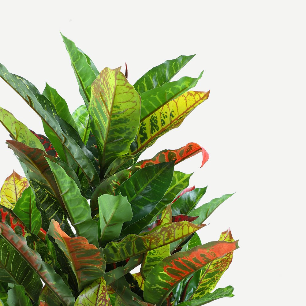 125cm Faux Artificial Codiaeum Plant – Elegant Indoor Decorative Greenery Artificial Plants