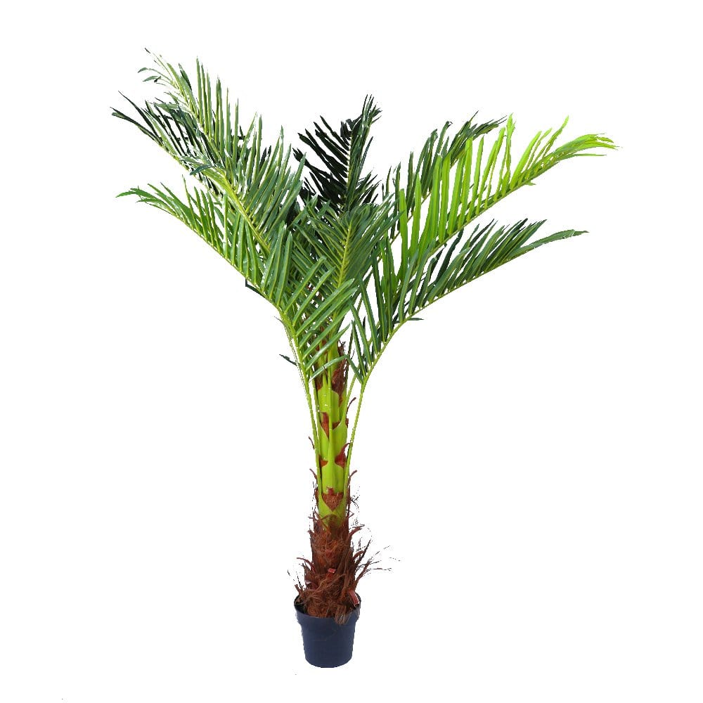 180cm Phoenix Palm - Artificial Plants, Home Decor Flora