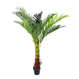 180cm Phoenix Palm - Artificial Plants, Home Decor Flora