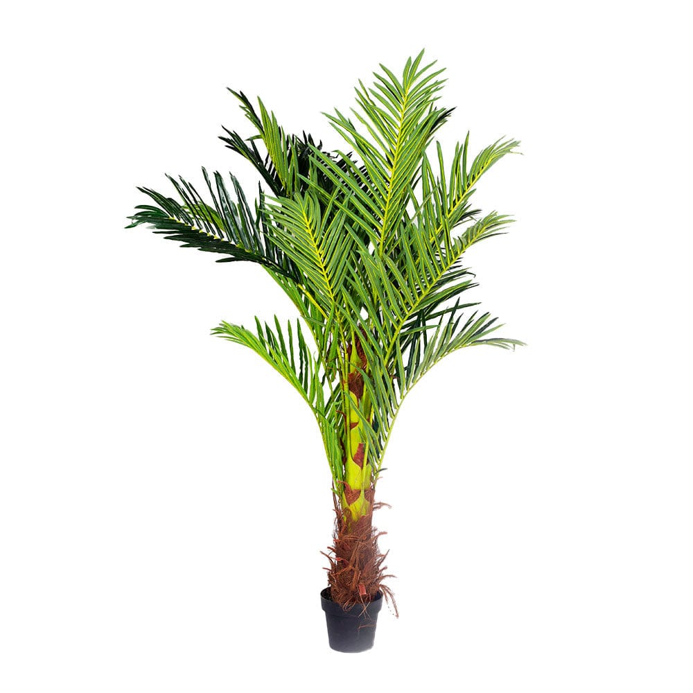 180cm Phoenix Palm - Artificial Plants, Home Decor Flora