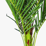 180cm Phoenix Palm - Artificial Plants, Home Decor Flora