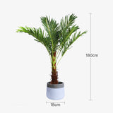 180cm Phoenix Palm - Artificial Plants, Home Decor Flora